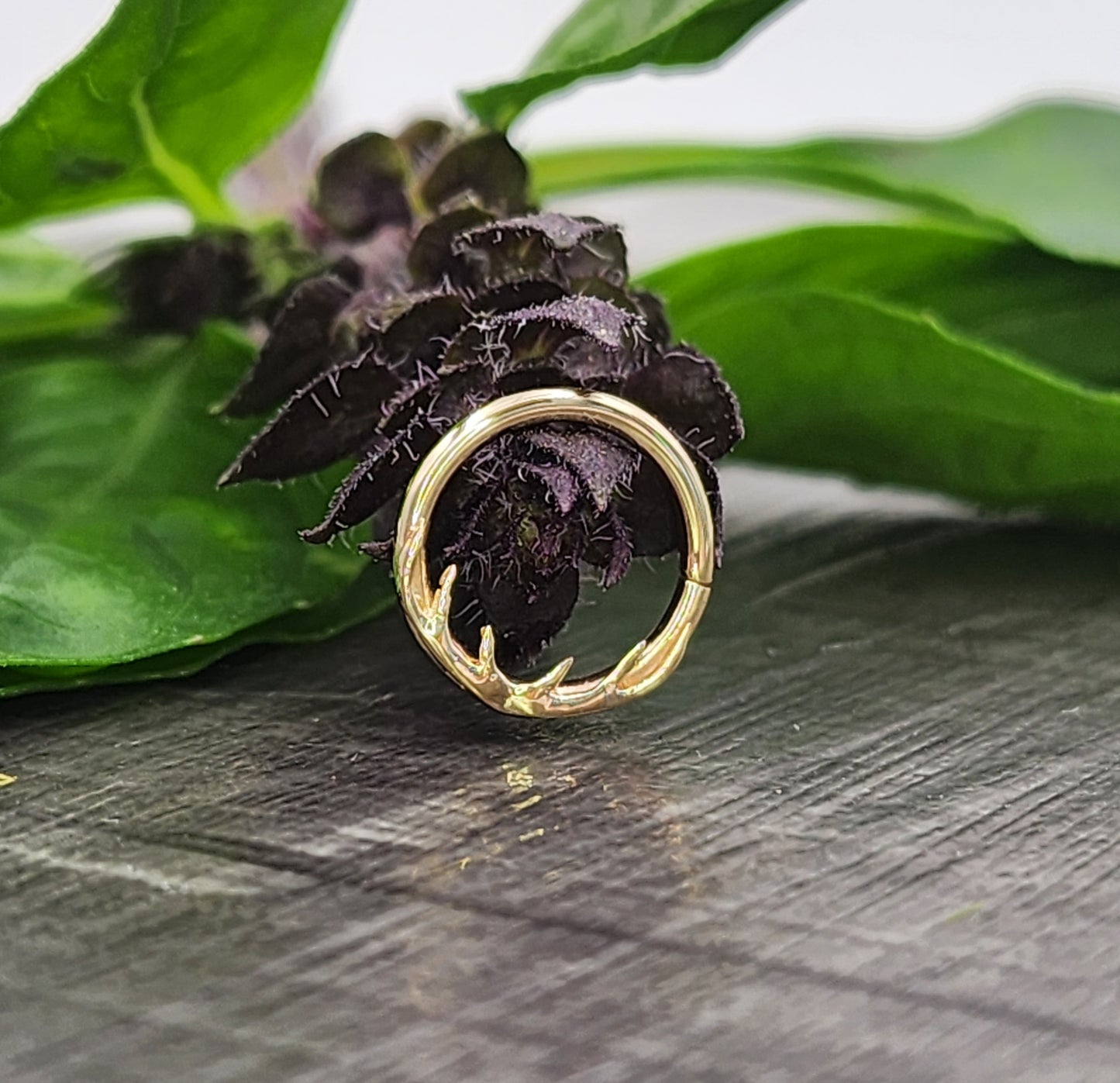 14k Gold Antler Seam Rings